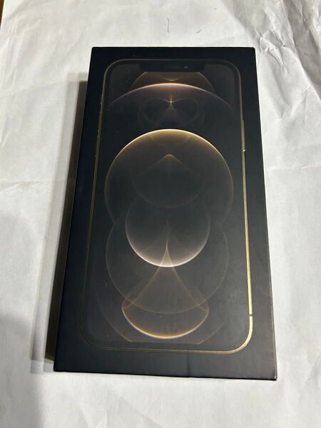 iPhone 12 256GB 空箱 iPhone12 Apple MGMC3J/A A2406 Pro Lightning