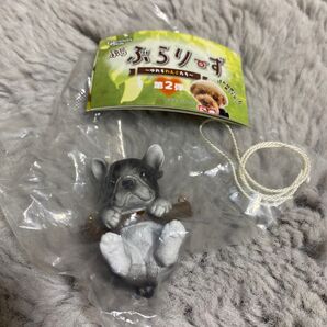 ガチャガチャ ぶらぶらりーず ぬれるわんこたち 第2弾フレンチブルドッグ
