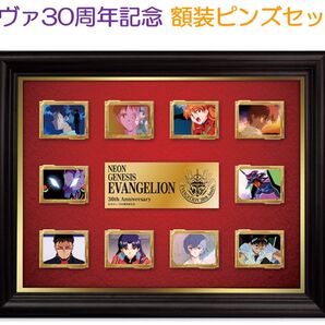 「新世紀エヴァンゲリオン」30周年記念 額装ピンズセット
