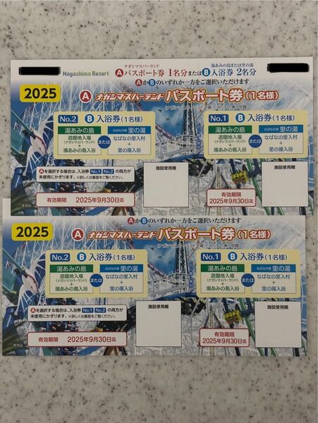 ナガシマリゾート 入場券 パスポート チケット 2枚