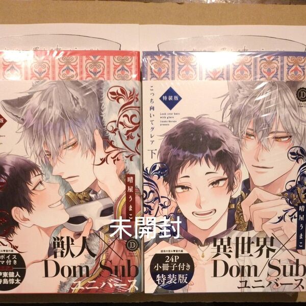 こっち向いてグレア 上下 特装版 デイジーコミックス/晴屋うまこ ペーパー付、未開封