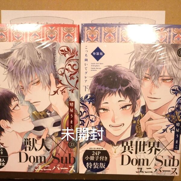 こっち向いてグレア 特装版上下/晴屋うまこ ペーパー付