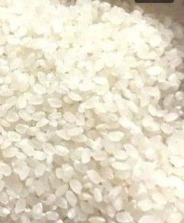 令和6年産コシヒカリ5kg 白米