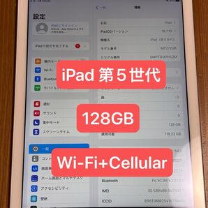 iPad 第5世代 Wi-Fi+Cellular 128GB 2017年春モデル MP272J/A docomo シルバー