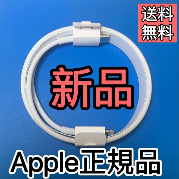 Apple純正 Lightningケーブル タイプC iPhone iPhoneケーブル USB-C