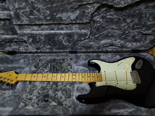 Fender American Professional Stratocaster black ハードケース付