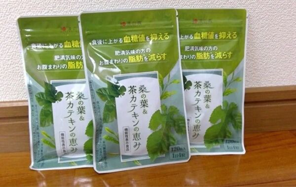 和漢の森 桑の葉&茶カテキンの恵み 120粒×3個セット
