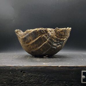 BP88nf CELECTオリジナル手びねり BALL POT 赤鰐 フチちぎり 陶器鉢 作家鉢 手作り植木鉢 金色釉薬 クロコ柄
