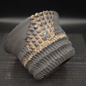 YB38D CELECTオリジナル STUDS POT 破鉢 陶器鉢 作家鉢 植木鉢 鎬スタッズ 4.5号 金色釉