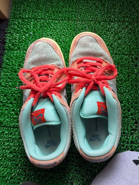 Nike SB Dunk Low Pro PRM オレンジ&エメラルドライズ