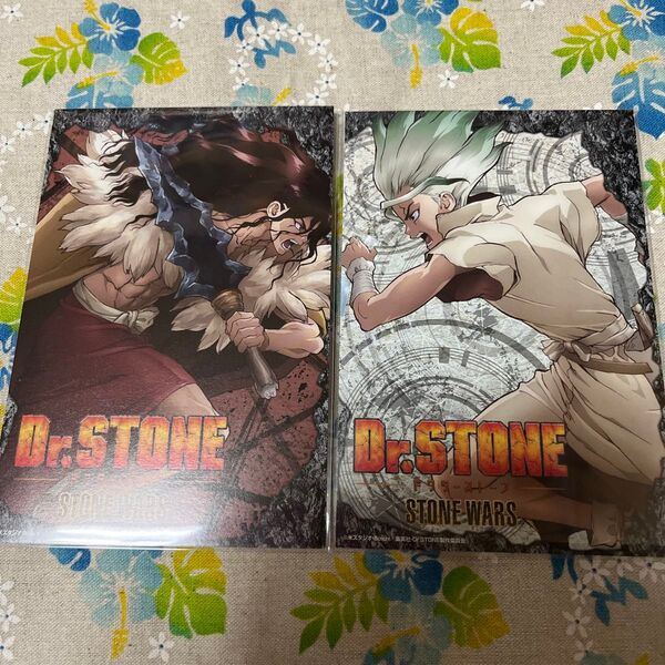Dr.STONE 石神千空 獅子王司 特典 ポストカード