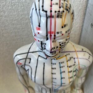 ゆりセレクト