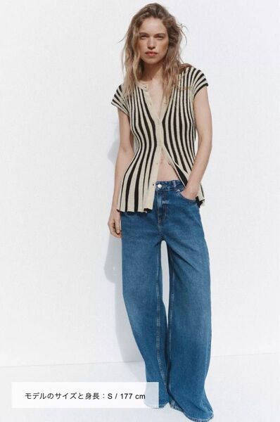 【未使用】ZARA ストライプ柄クロップド丈ニットトップス