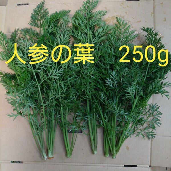 人参の葉 250g