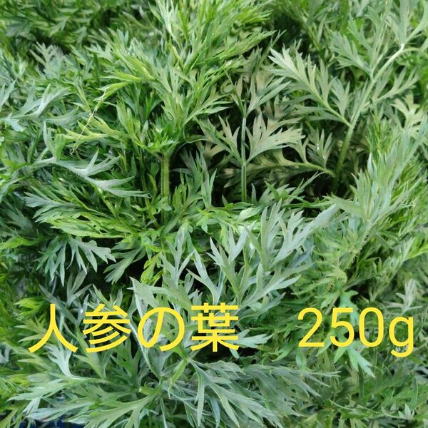 人参の葉 250g