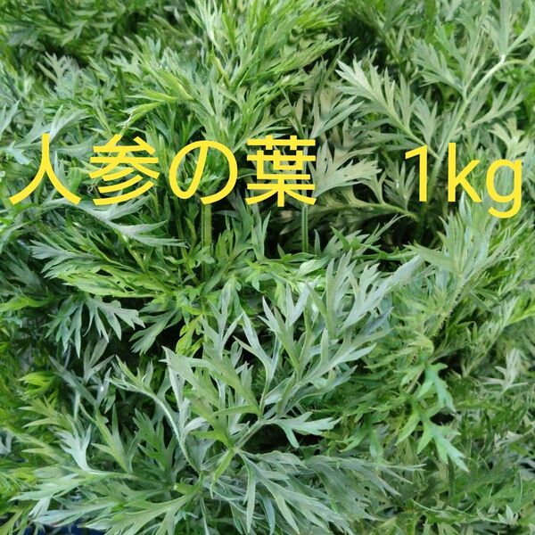 人参の葉 1kg