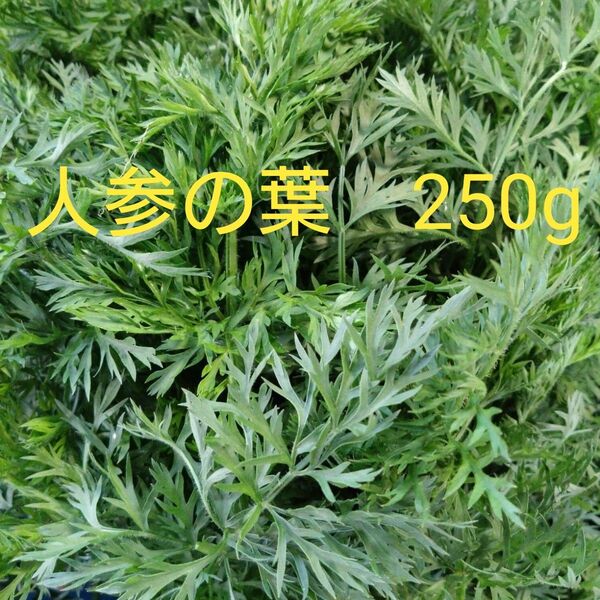 人参の葉 250g