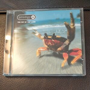 The Prodigy / The Fat of the Land CD