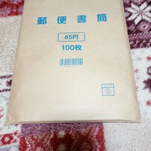 郵便書簡 ミニレター【完封】100枚