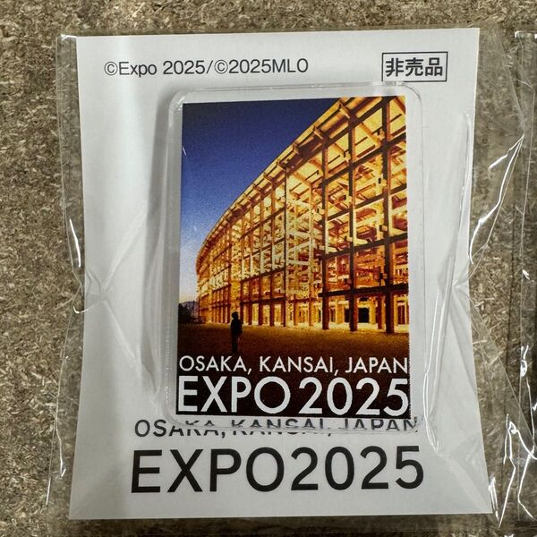 大阪 関西万博 ピンバッジ ピンズ 非売品 2025 エキスポ ミャクミャクハウス 5月限定 EXPO2025