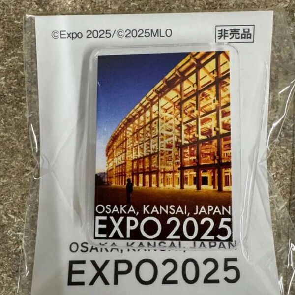 大阪 関西万博 ピンバッジ ピンズ 非売品 2025 エキスポ ミャクミャクハウス 5月限定 EXPO2025