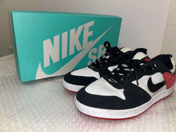 NIKE SB アリウープ 26.5cm
