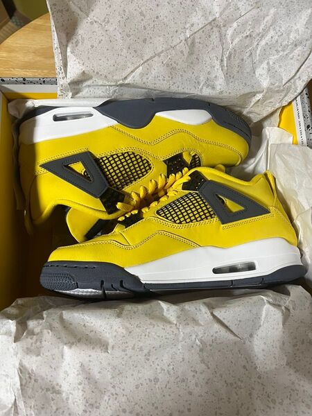 Nike Air JORDAN 4 TOUR YELLOW(エアジョーダン4 ツアーイエロー) 27cm NIKE ナイキ