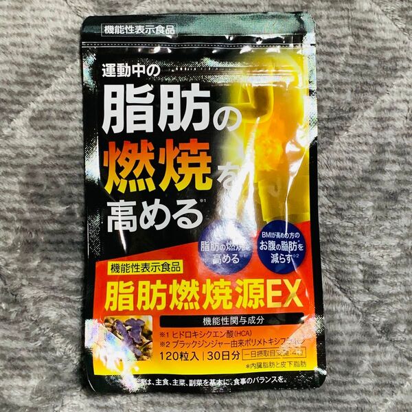 【新品未開封】脂肪燃焼源EX 120粒