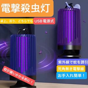 電撃殺虫灯 USB電源式 もうそろそろ蚊の季節です!!