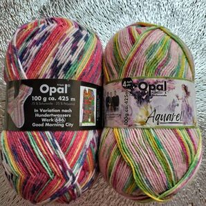 Opal毛糸 2玉 ソックヤーン No.11534 (水彩画シリーズ) No.2102 各100g 2個 新品 計約200g