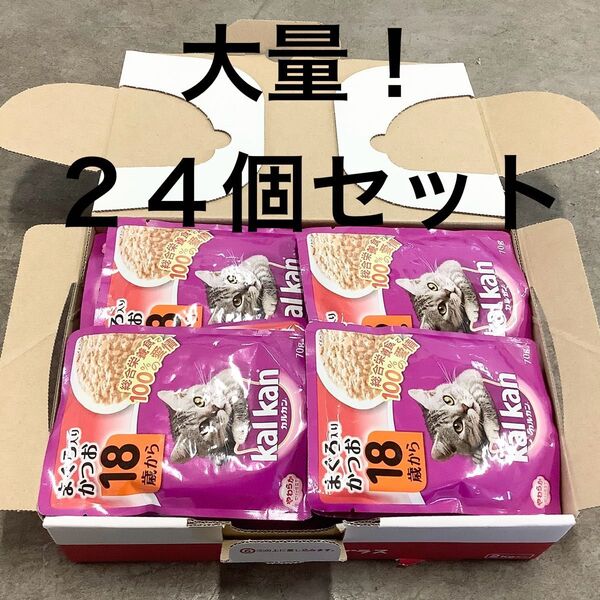 カルカン kalkan 18歳から やわらかゼリー仕立て 総合栄養食 キャットフード パウチ 70g 24個 24袋 大量セット