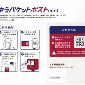 100枚 ゆうパケットポストmini専用の封筒