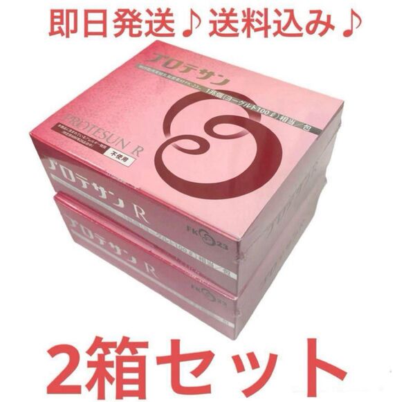 ニチニチ製薬 プロテサンR 62包入× 2箱 乳酸菌1兆個/包含有
