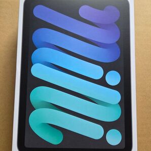 《極美品》iPad mini 6 Wi-Fi 64GB