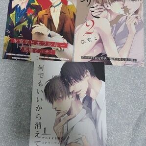 商業BL 特典 リーフレット 小冊子 ひなこ 生意気ヒエラルキー 馬鹿とハサミ 何でもいいから消えてくれ 初回特典