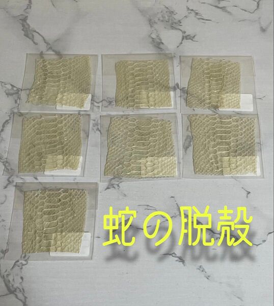 【お買い得】蛇の抜け殻 私が育てるヘビのお守り 巳年