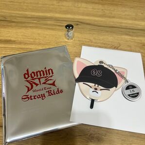 ランダムミニうちわキーホルダー/STADIUM I.N 08 銀テープ付 straykids