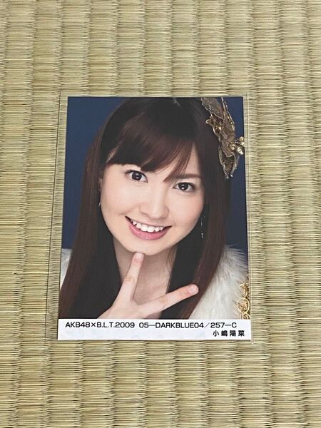 AKB48小嶋陽菜 生写真