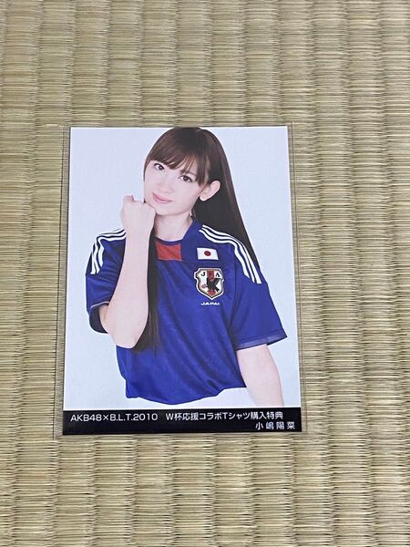 AKB48小嶋陽菜 生写真