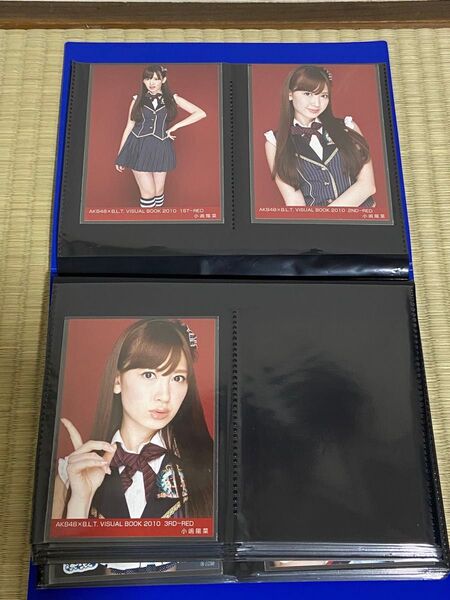 AKB48小嶋陽菜 生写真