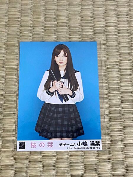 AKB48小嶋陽菜 生写真
