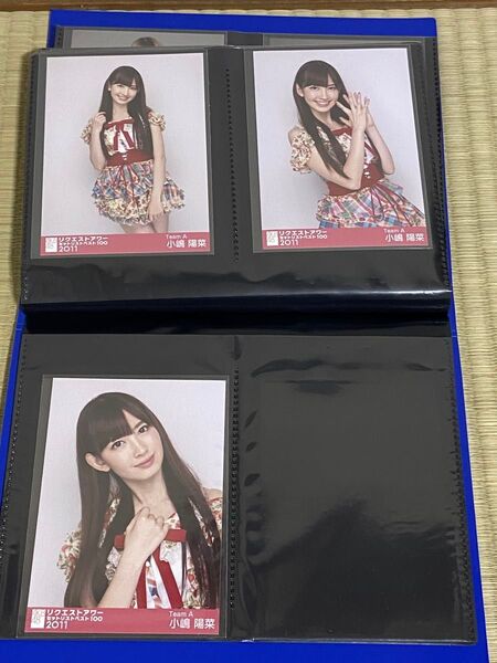AKB48小嶋陽菜 生写真
