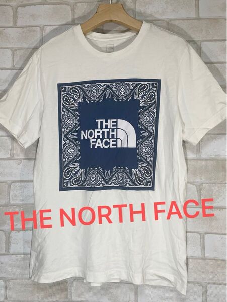 THE NORTH FACEノースフェイス バンダナ ペイズリー柄 半袖Tシャツ