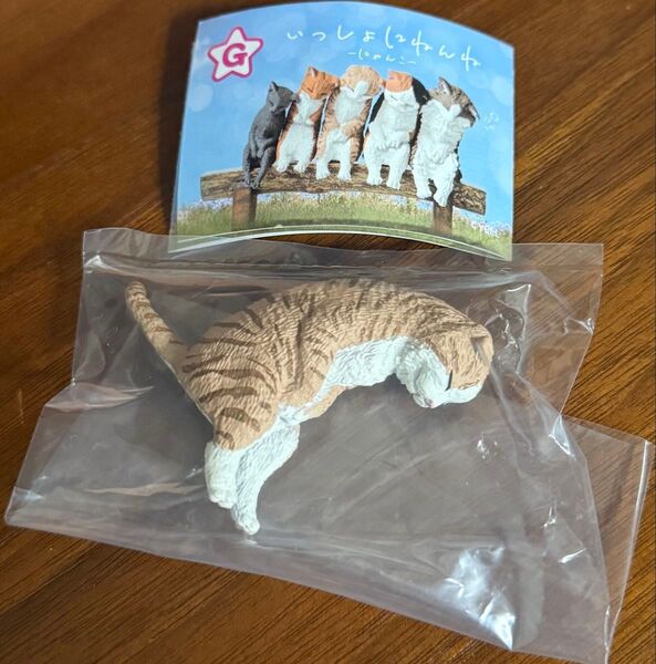 いっしょにねんね にゃんこ ガチャガチャ 猫 スコティッシュ