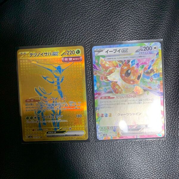 ポケモンカード テツノイサハex UR イーブイex RR 2枚セット