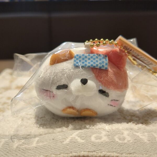 もちふわ! ころころにゃんこ ぷち 温泉地限定 おんせんにゃん