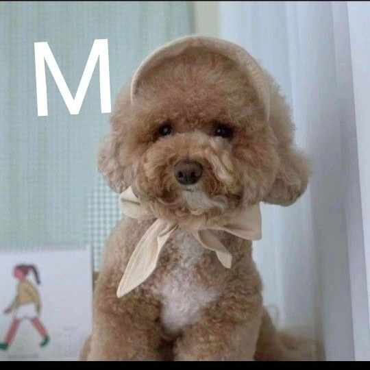 M ペット 紫外線対策 アクセサリー 帽子 サンバイザー コスチューム キャップ ペット用品 犬服 犬 ドッグウェア 帽子犬