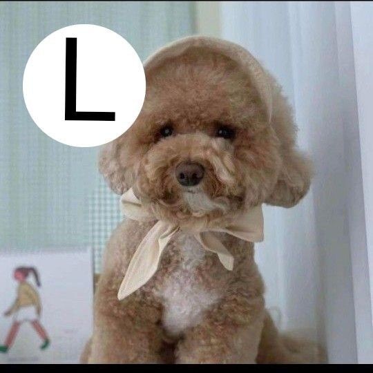 ペット 紫外線対策 アクセサリー 帽子 サンバイザー コスチューム キャップ 犬服 犬 帽子犬 犬帽子 ペット用品 UV対策 L