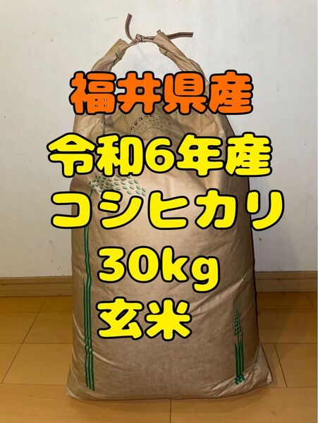 令和6年産 福井県産コシヒカリ30kg玄米