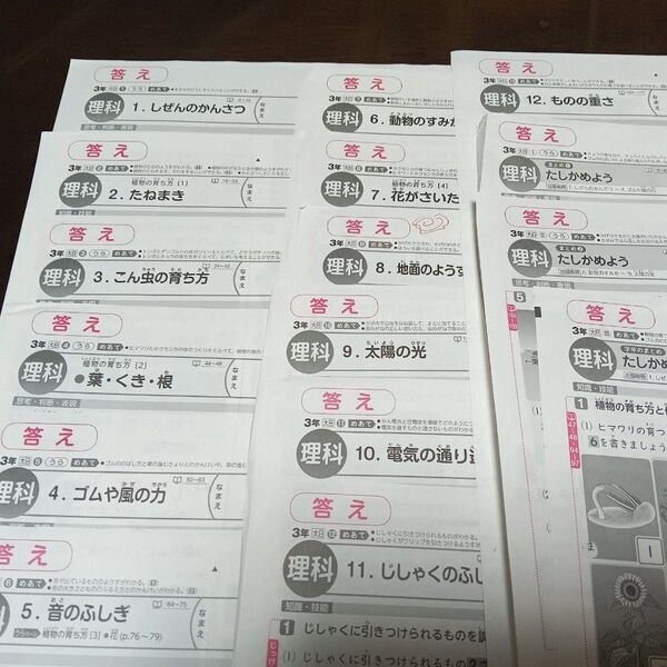 3年生☆理科☆小学校☆カラーテスト☆解答☆1年分☆大日本図書☆新学社